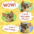 E-mail Cards
